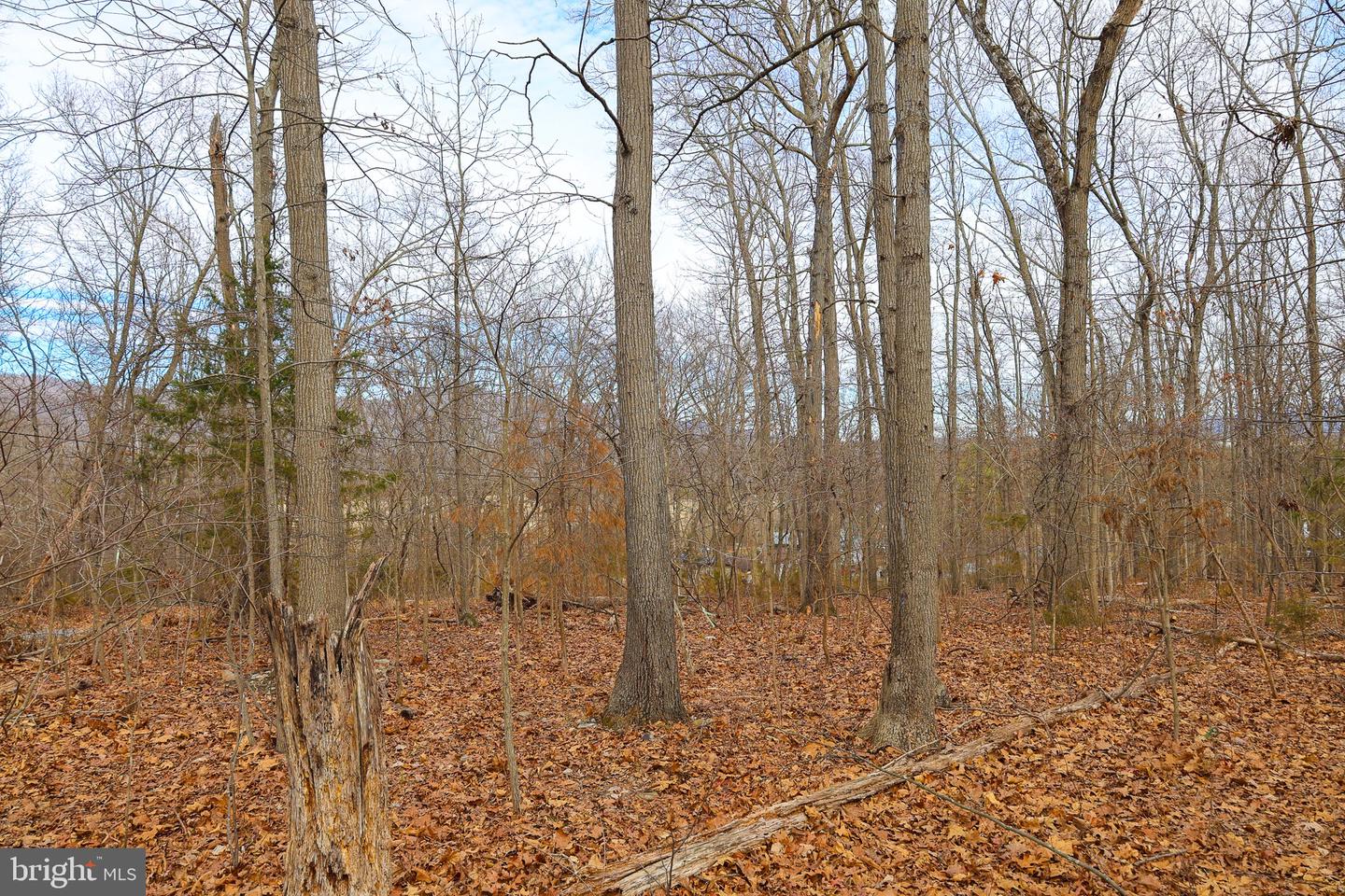 Lot 21 Riverbend Dr Property Photo 34