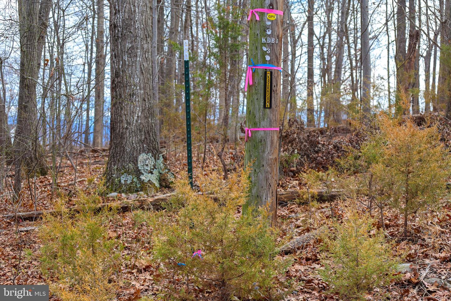 Lot 21 Riverbend Dr Property Photo 36