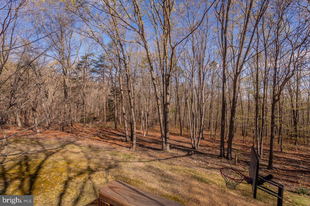 160 Gale Ln Property Photo 39