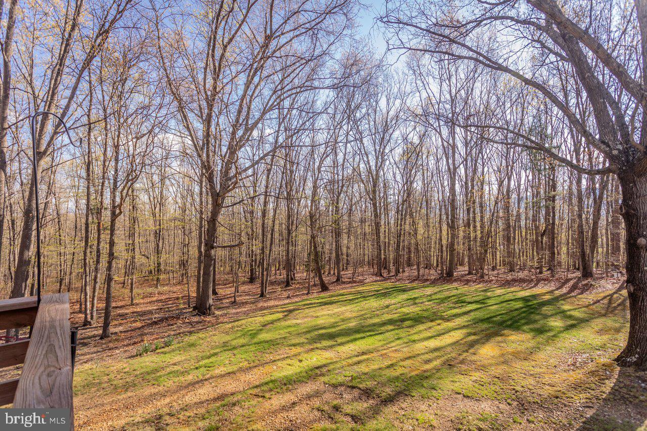 160 Gale Ln Property Photo 40