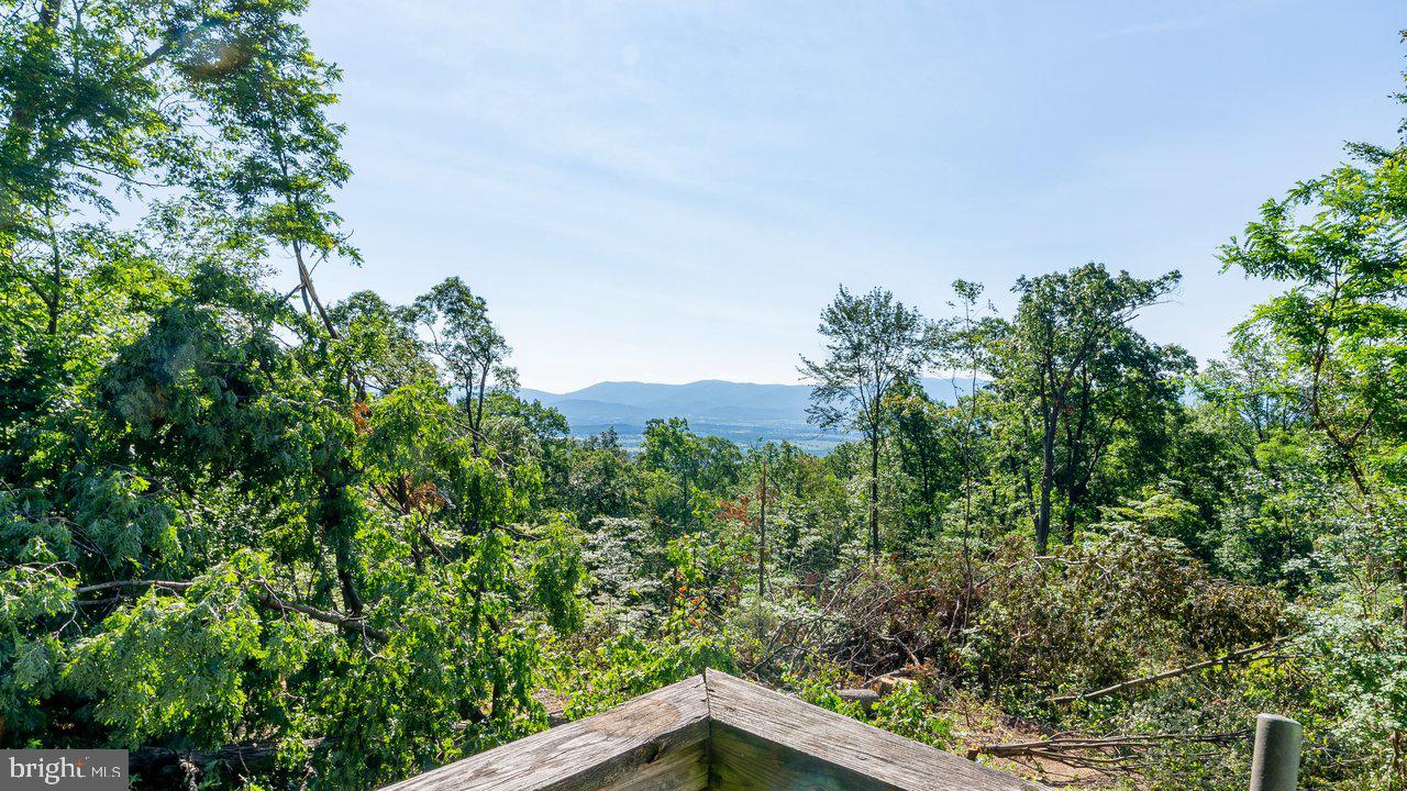 531 Forest Drive Ext Property Photo 9