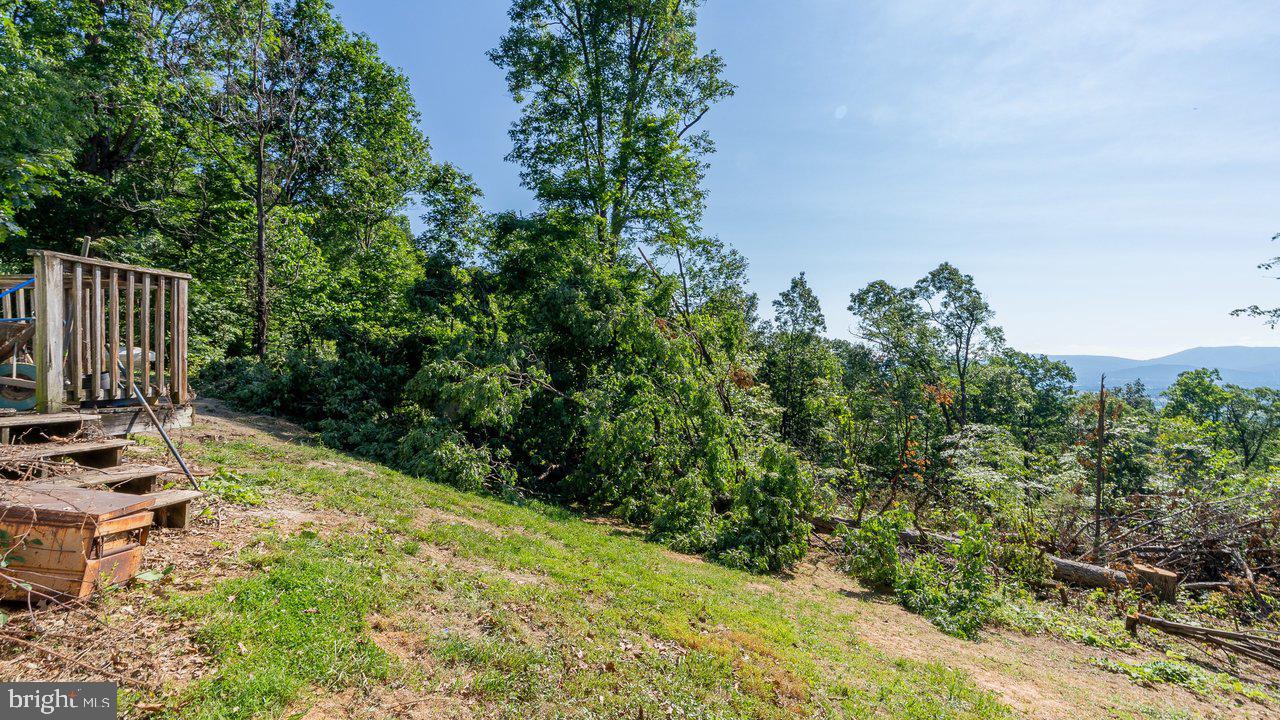 531 Forest Drive Ext Property Photo 17
