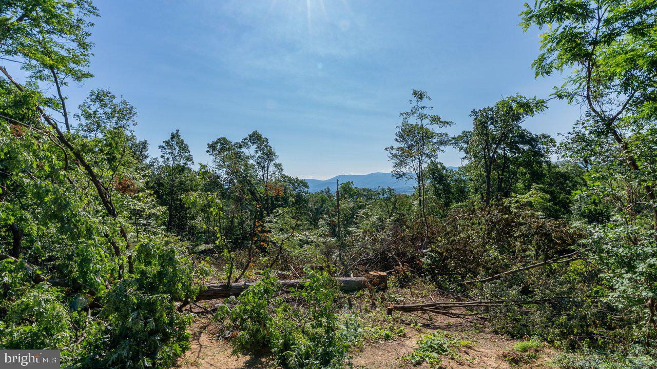 531 Forest Drive Ext Property Photo 20