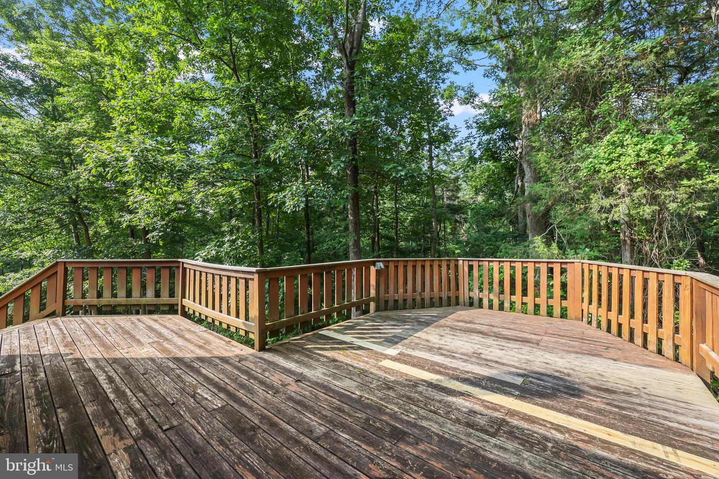 173 Meadow Rd Property Photo 22