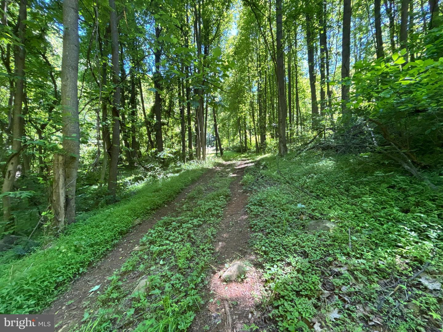 Jordan Hollow Rd Property Photo 8