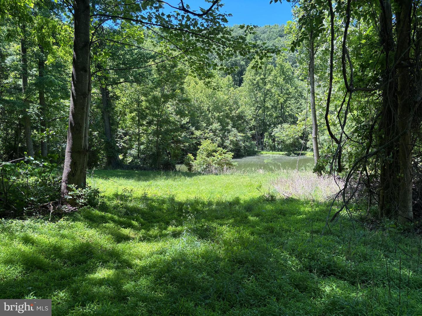 Jordan Hollow Rd Property Photo 10