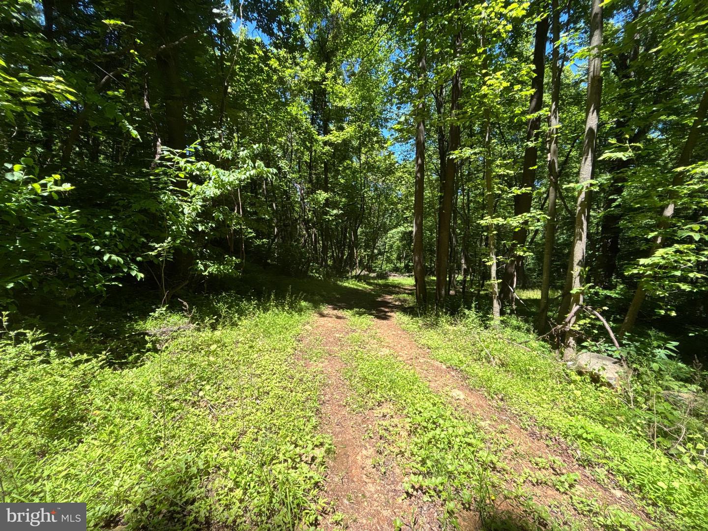 Jordan Hollow Rd Property Photo 11