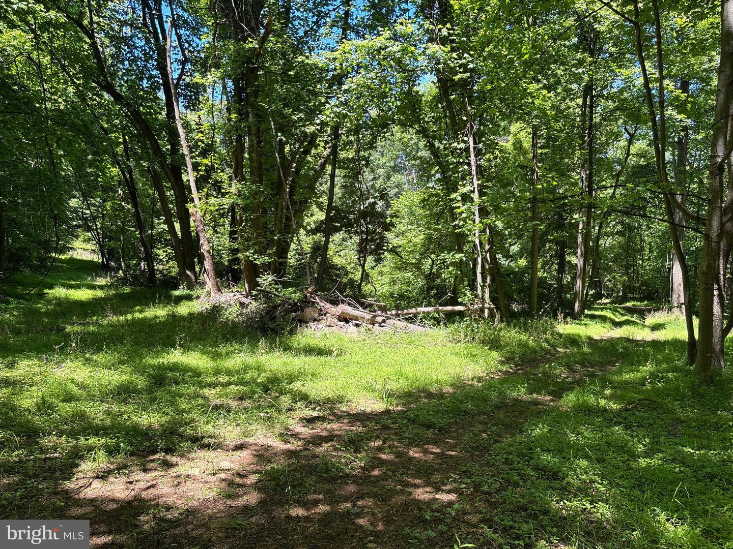 Jordan Hollow Rd Property Photo 12