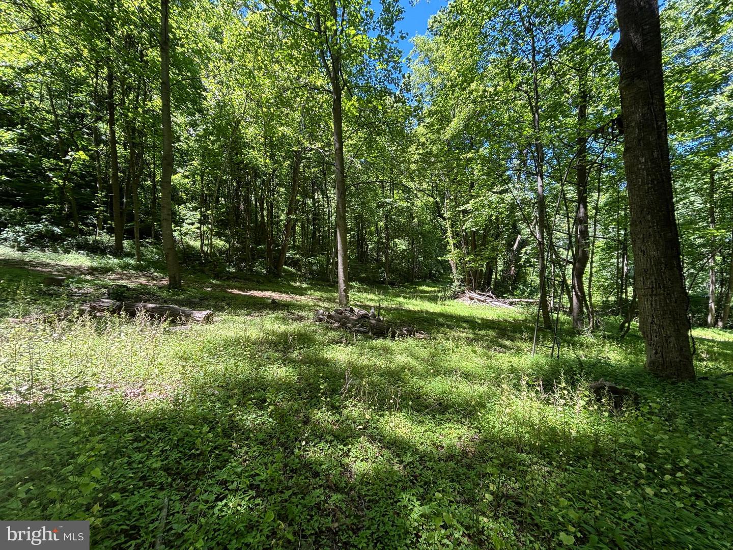 Jordan Hollow Rd Property Photo 13