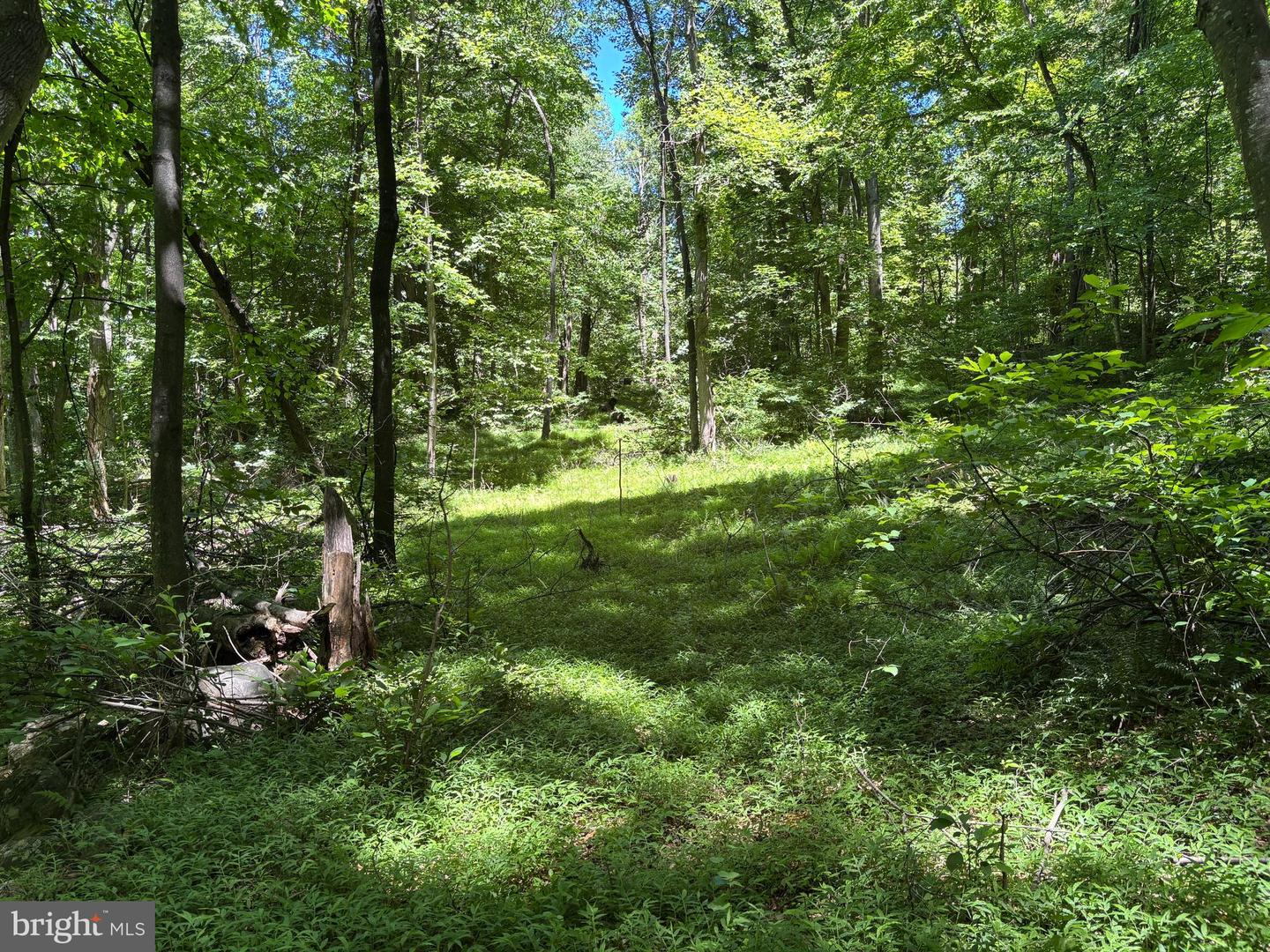 Jordan Hollow Rd Property Photo 14