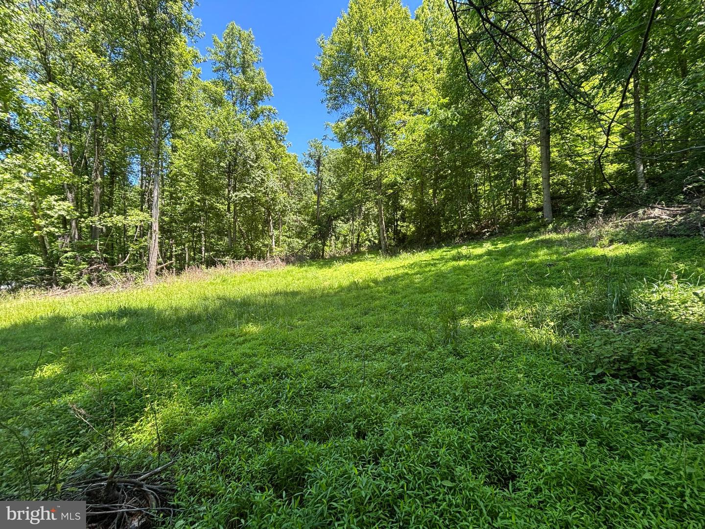 Jordan Hollow Rd Property Photo 15