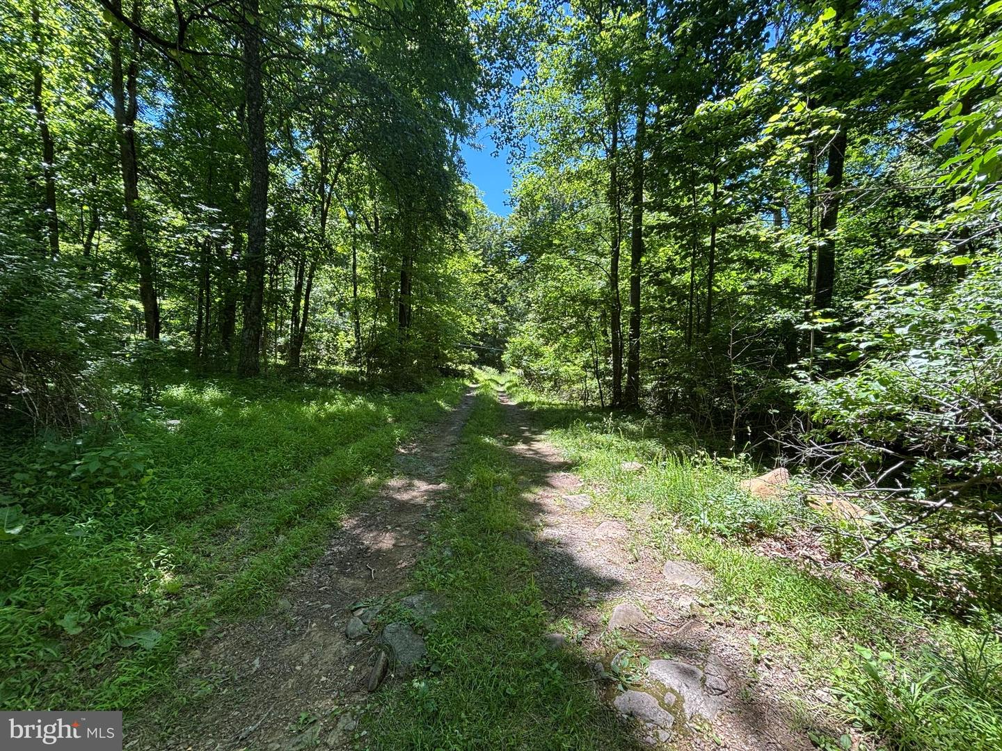 Jordan Hollow Rd Property Photo 16