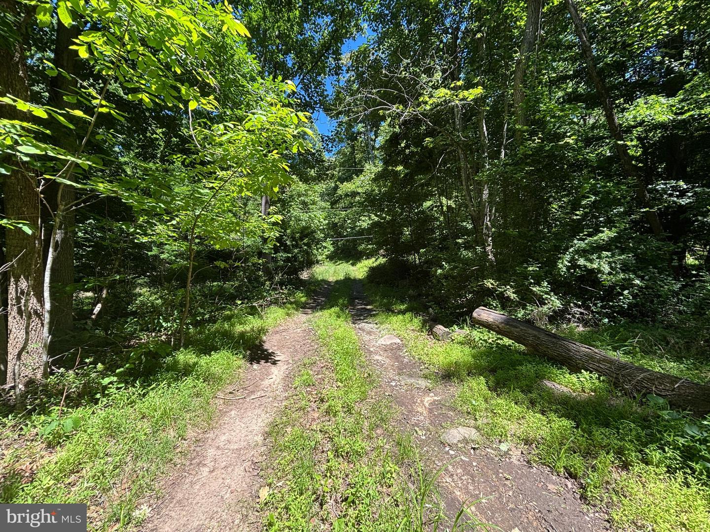 Jordan Hollow Rd Property Photo 17