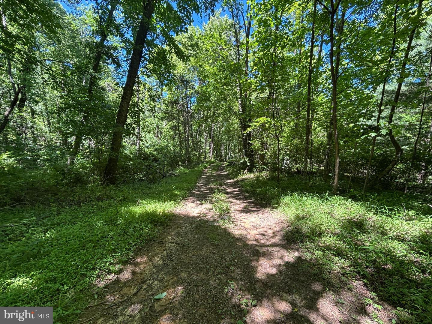 Jordan Hollow Rd Property Photo 18
