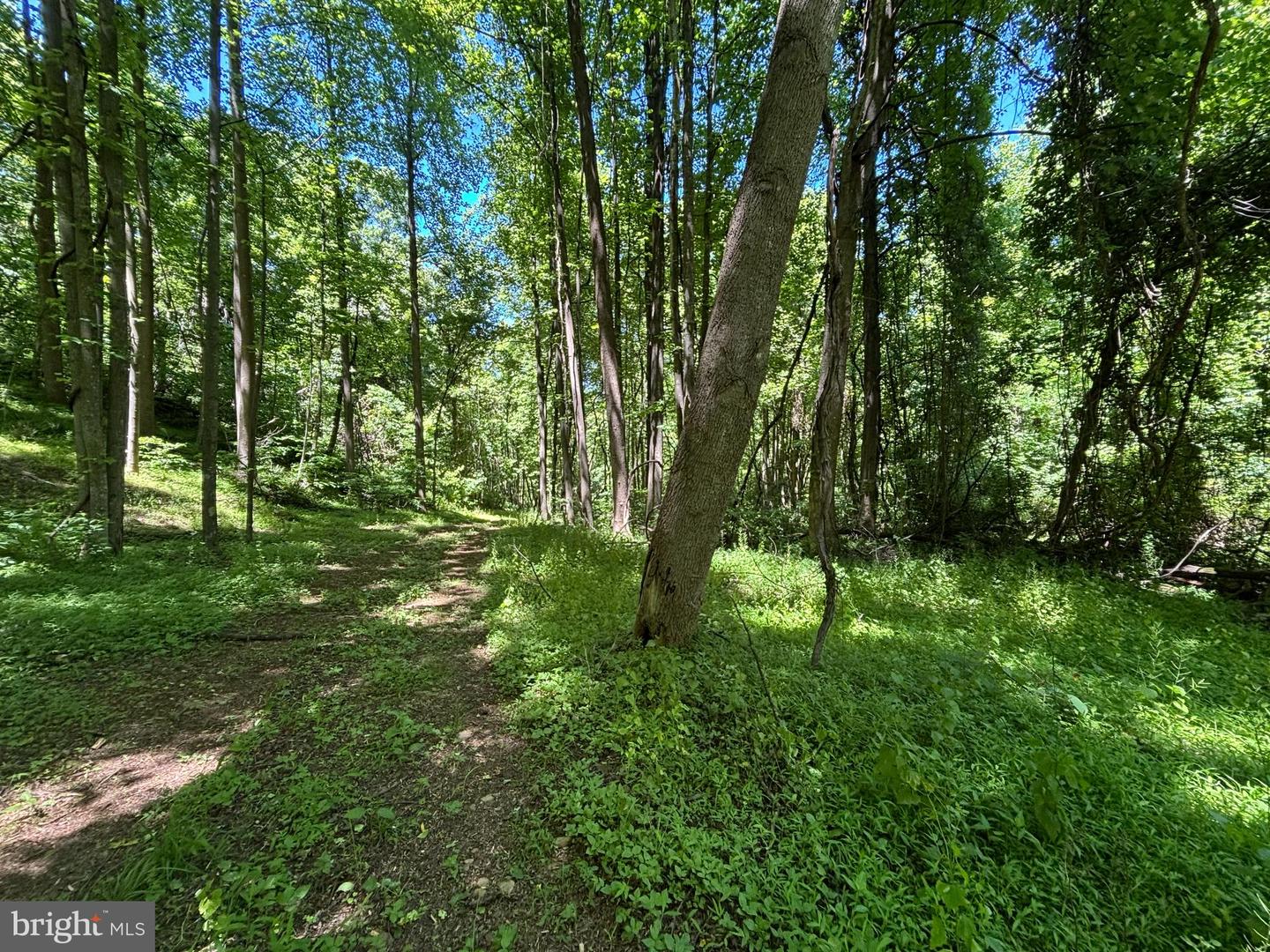 Jordan Hollow Rd Property Photo 19
