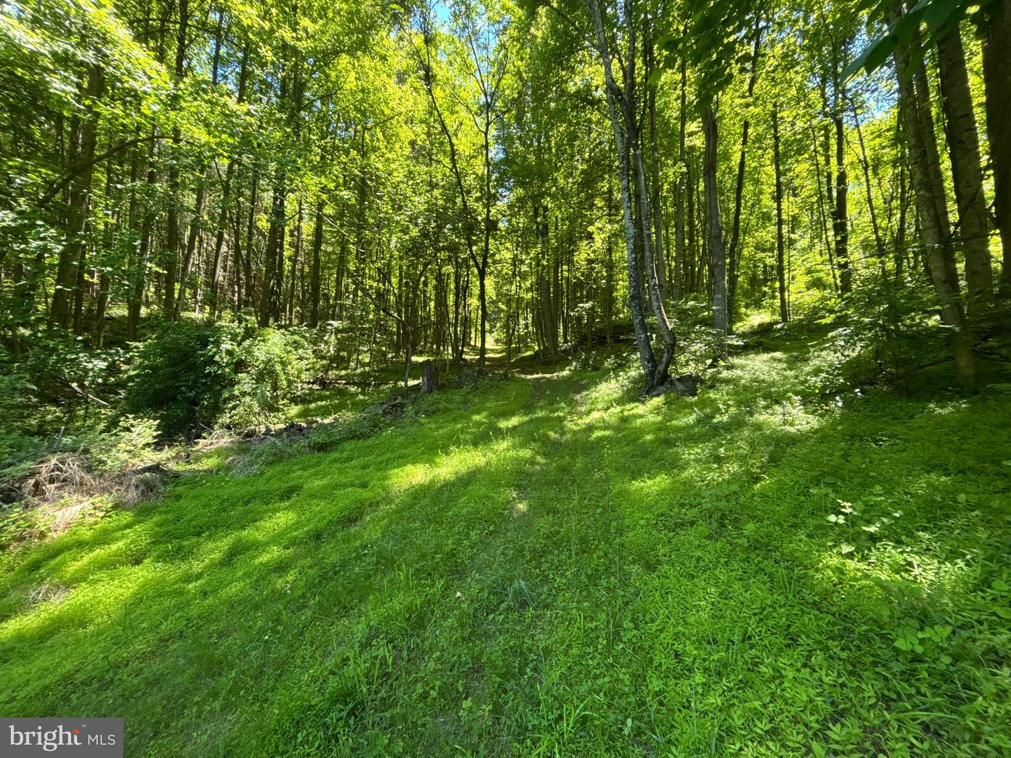 Jordan Hollow Rd Property Photo 20