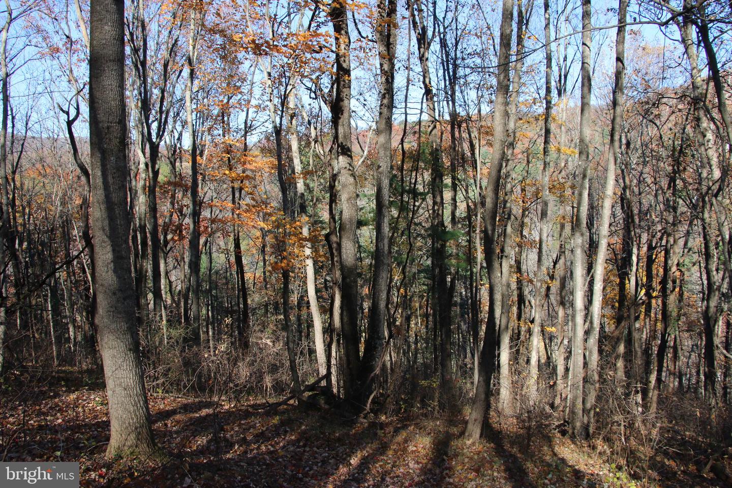 00 Overlook Mountain Rd Property Photo 3