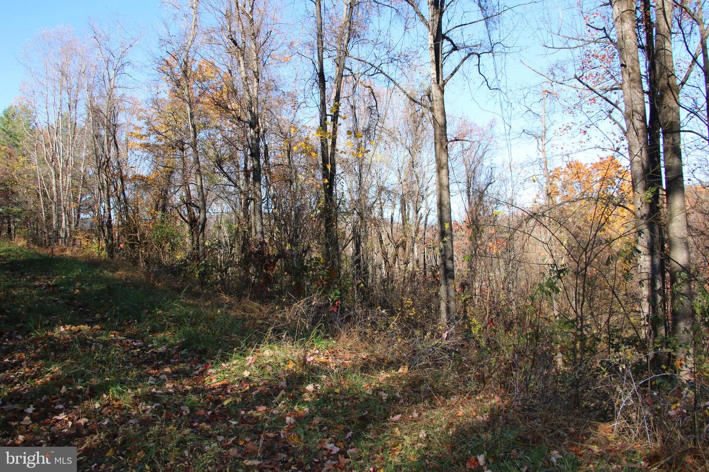 00 Overlook Mountain Rd Property Photo 6