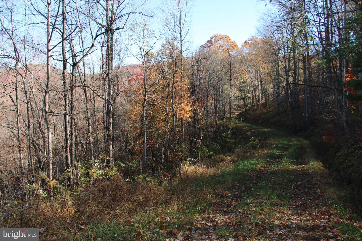 00 Overlook Mountain Rd Property Photo 7
