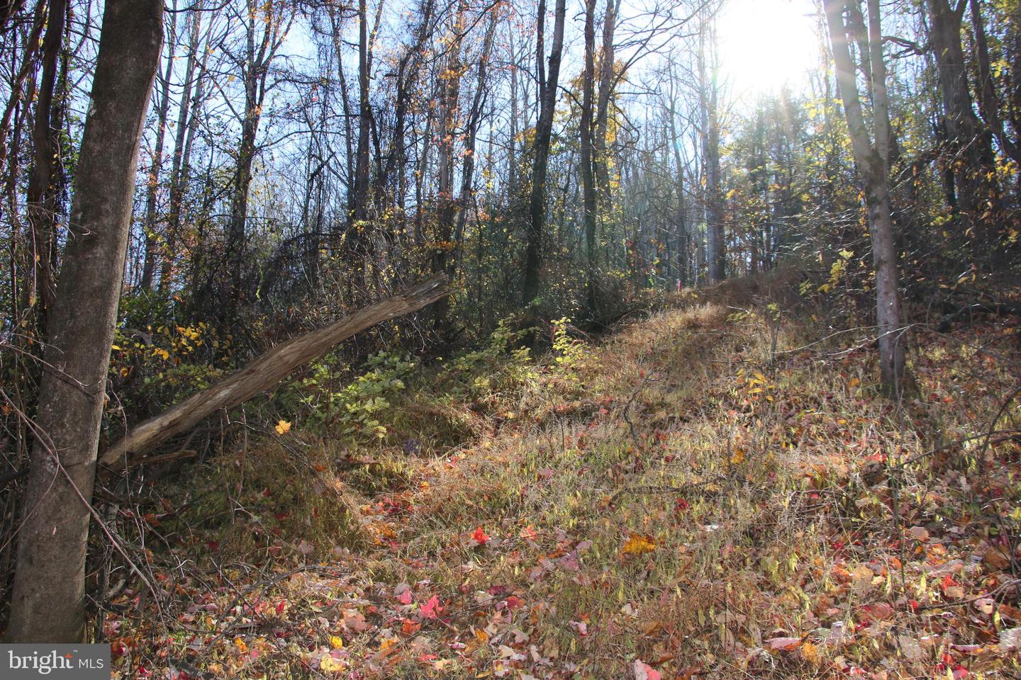 00 Overlook Mountain Rd Property Photo 9