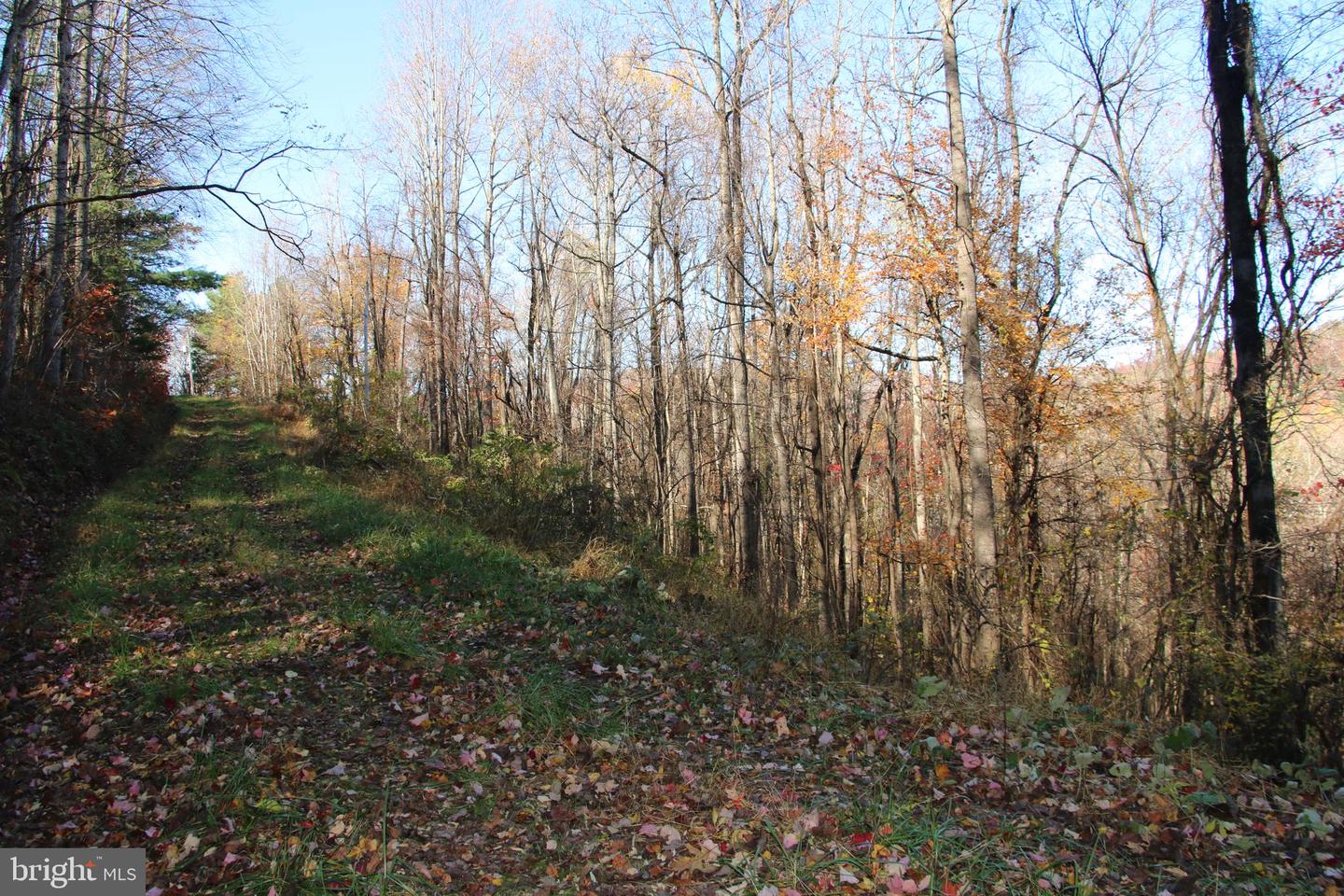 00 Overlook Mountain Rd Property Photo 13