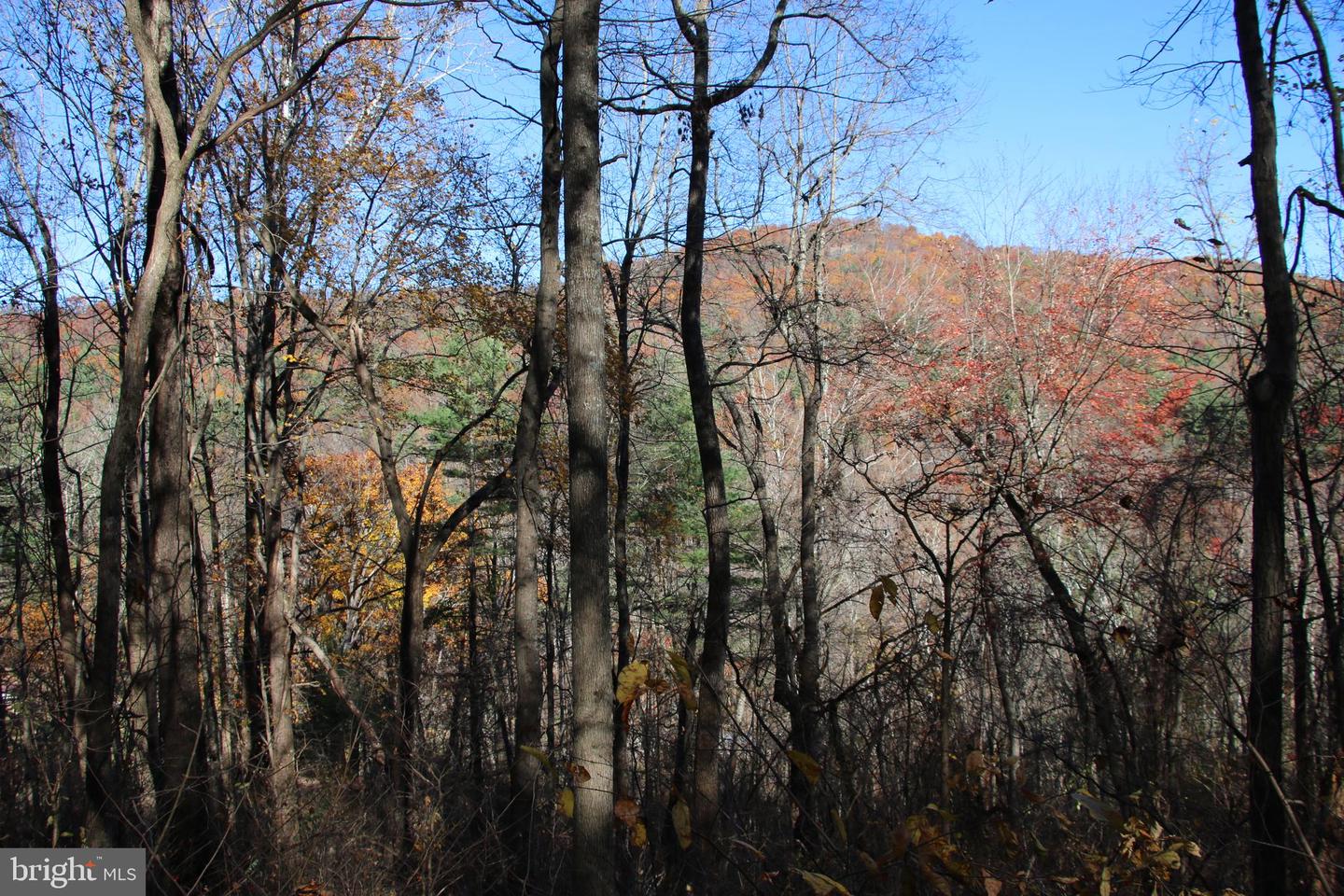 00 Overlook Mountain Rd Property Photo 17