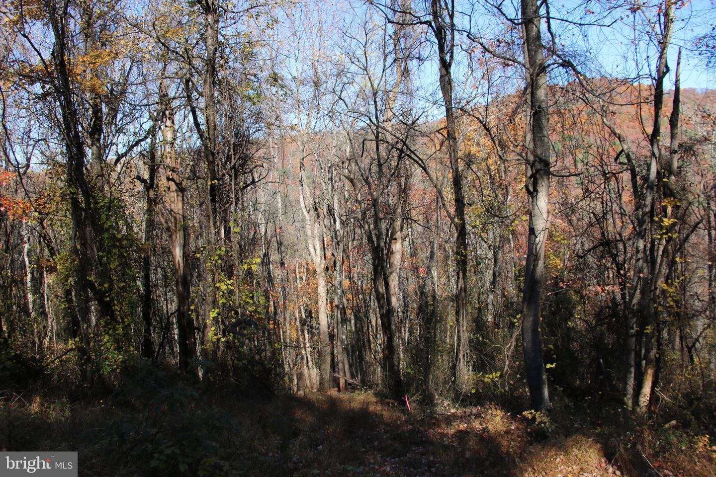 00 Overlook Mountain Rd Property Photo 18