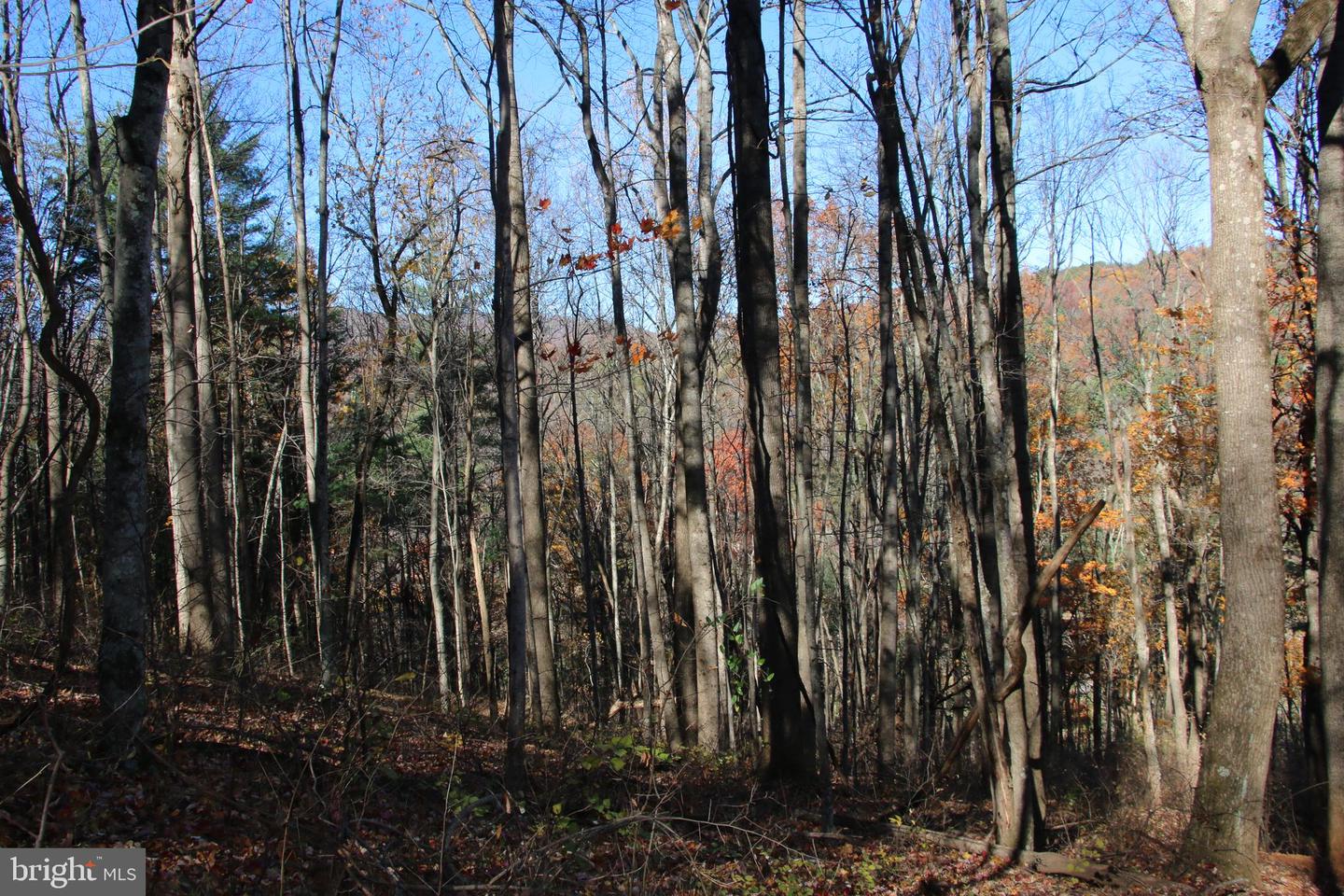 00 Overlook Mountain Rd Property Photo 19