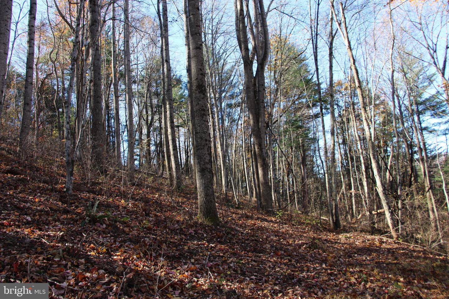 00 Overlook Mountain Rd Property Photo 20