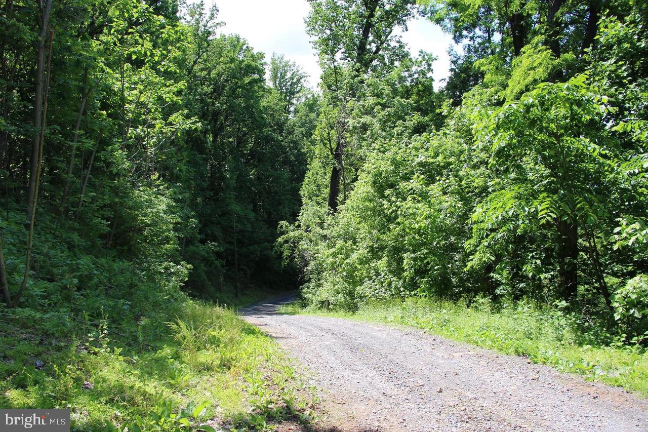 897 Helms Rd Property Photo 33