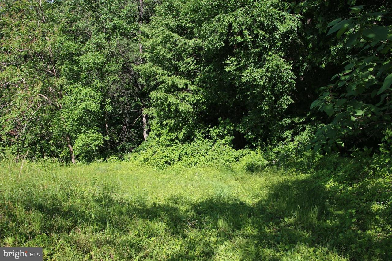 897 Helms Rd Property Photo 37
