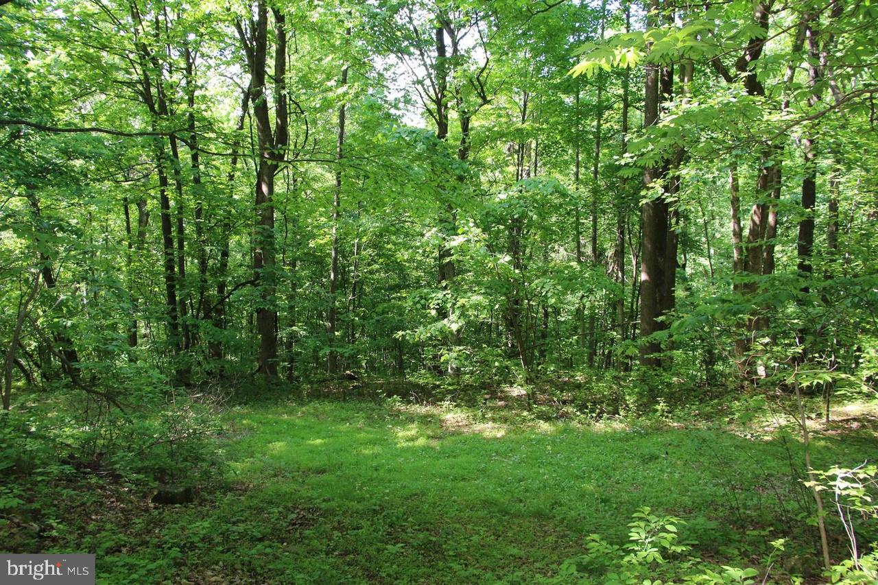 897 Helms Rd Property Photo 41