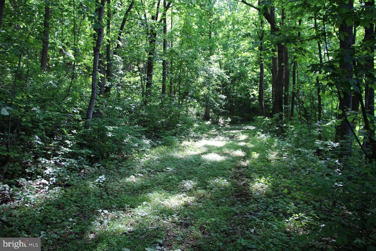 897 Helms Rd Property Photo 43
