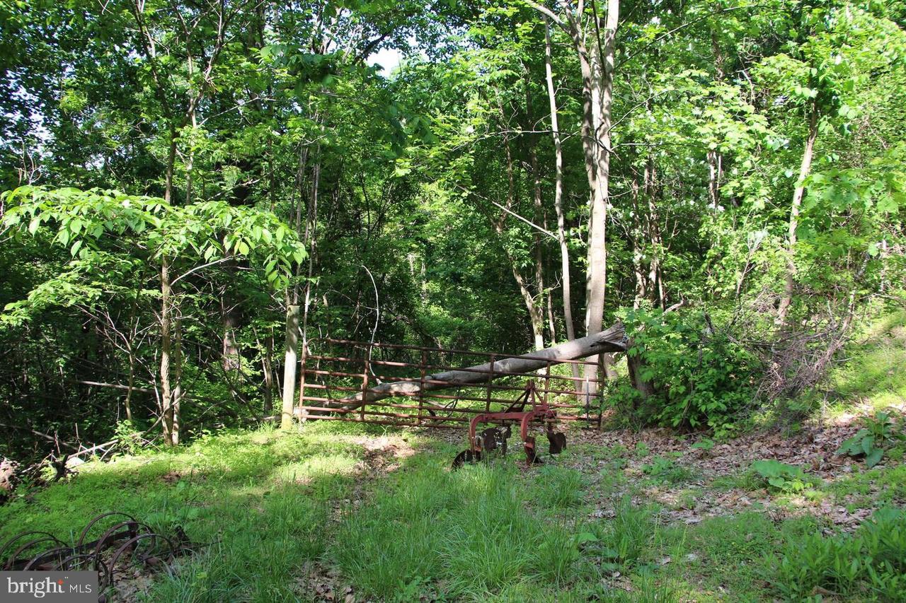 897 Helms Rd Property Photo 45