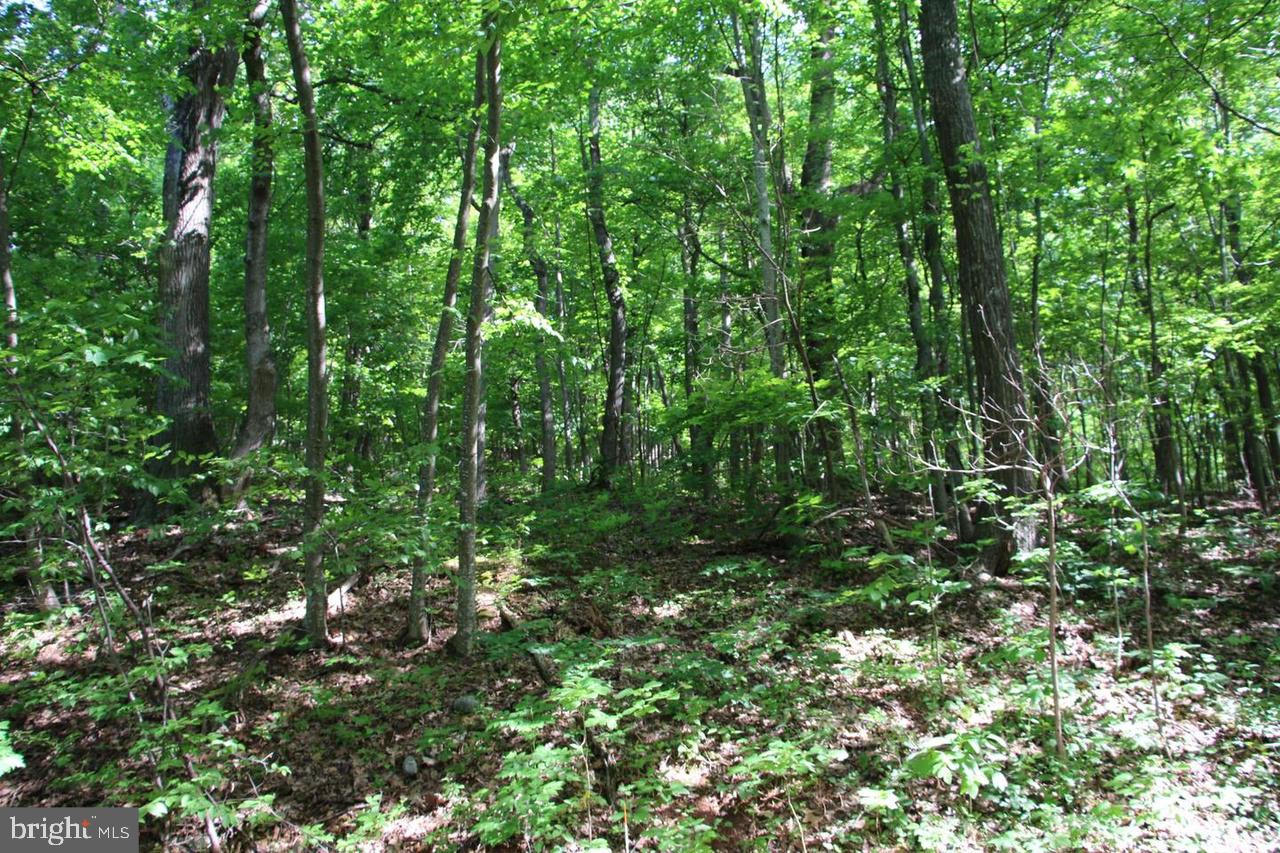 897 Helms Rd Property Photo 46