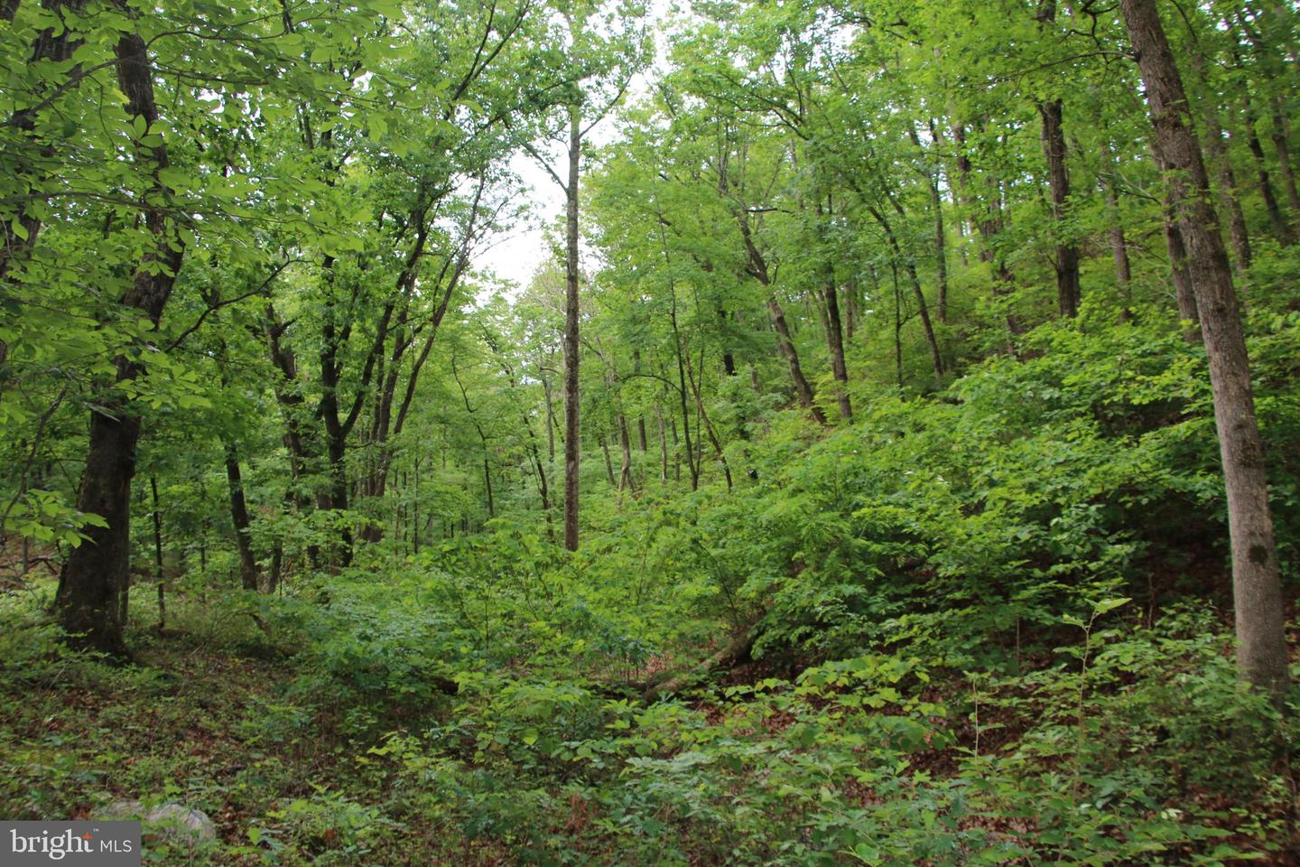 Lighthouse Ln Property Photo 7