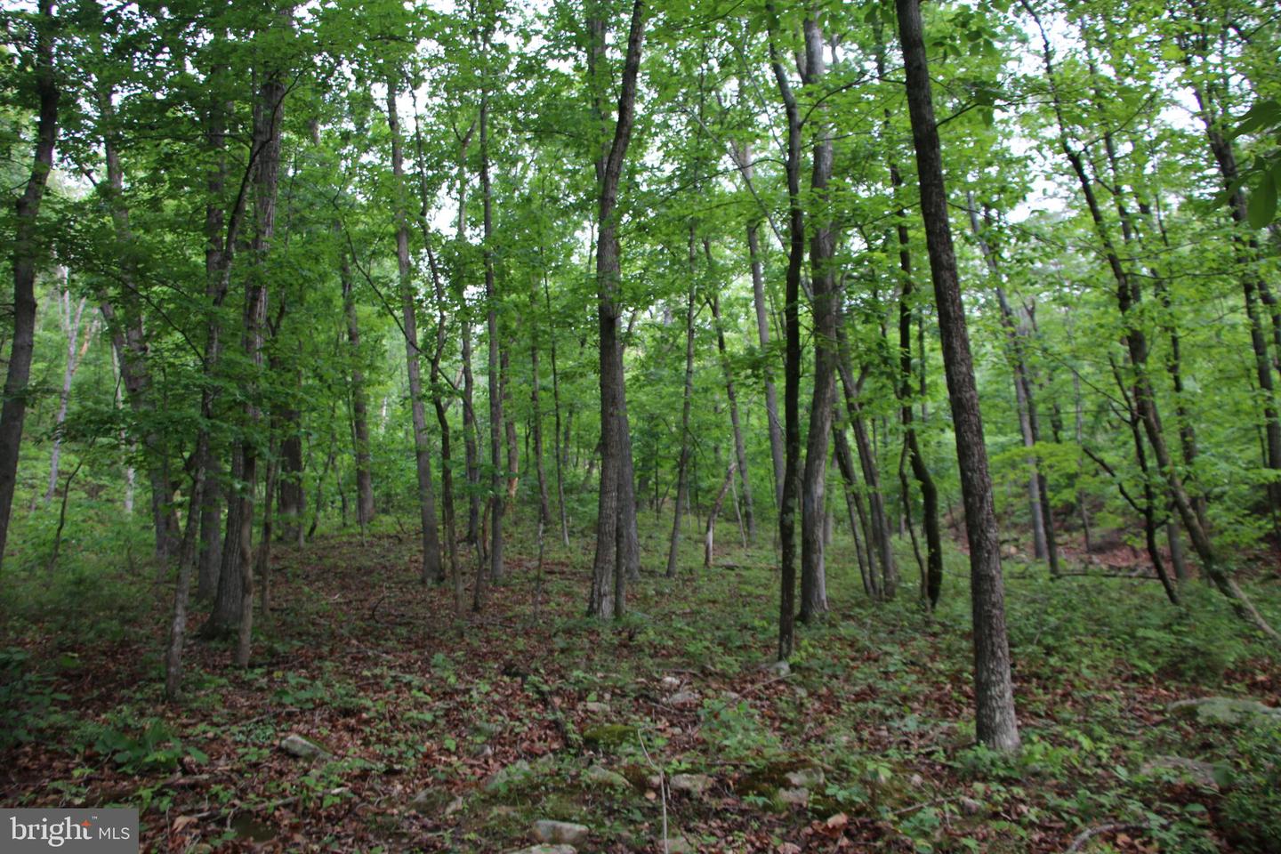 Lighthouse Ln Property Photo 8