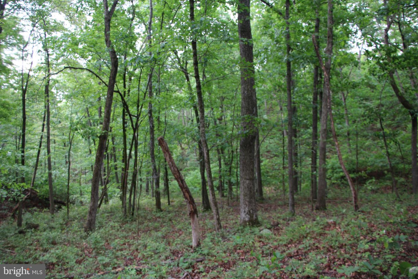 Lighthouse Ln Property Photo 10