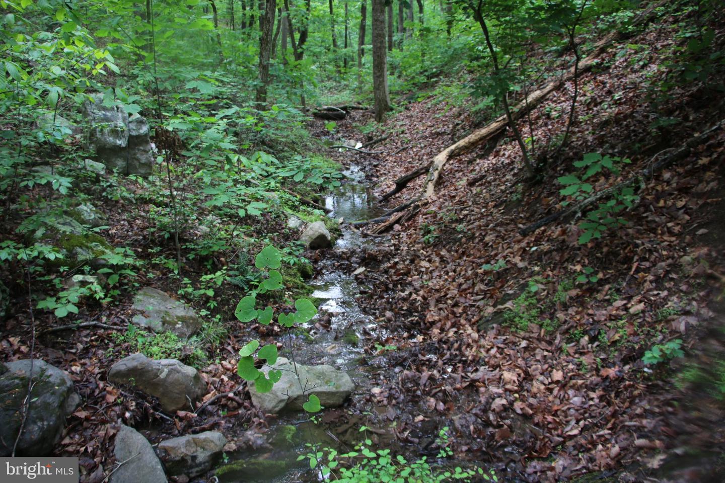 Lighthouse Ln Property Photo 11
