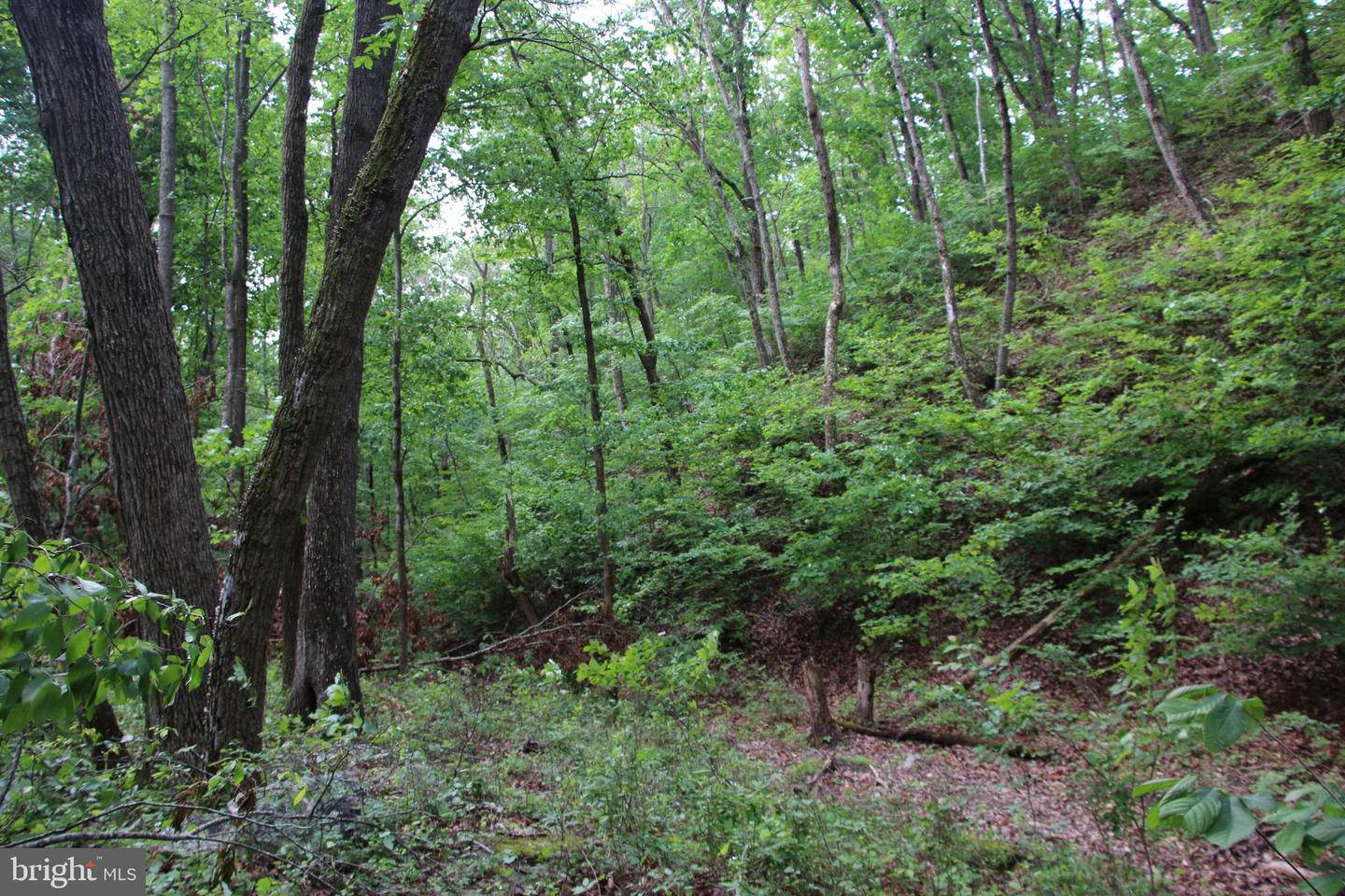 Lighthouse Ln Property Photo 13