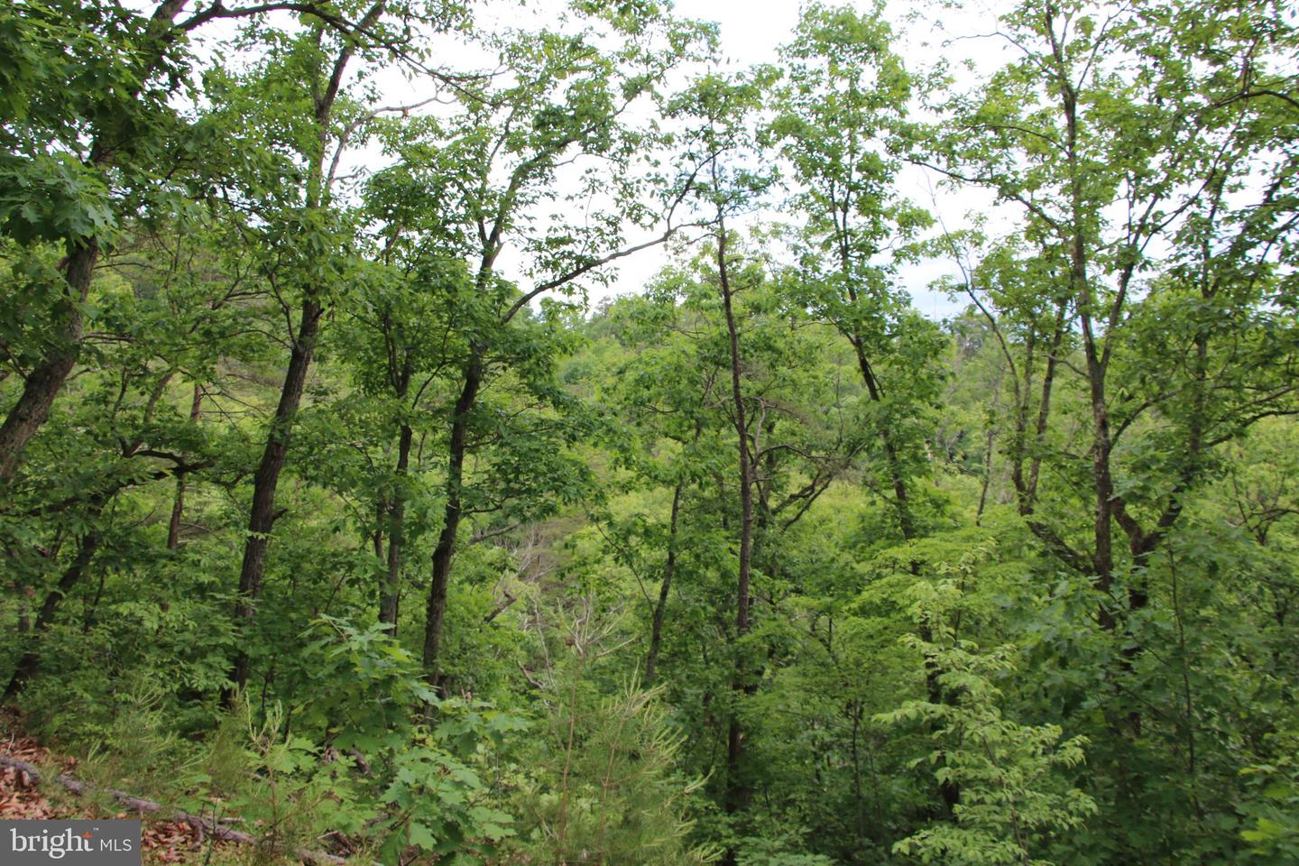 Lighthouse Ln Property Photo 15