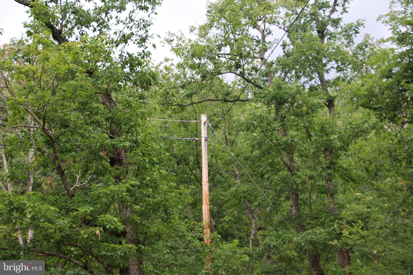 Lighthouse Ln Property Photo 18