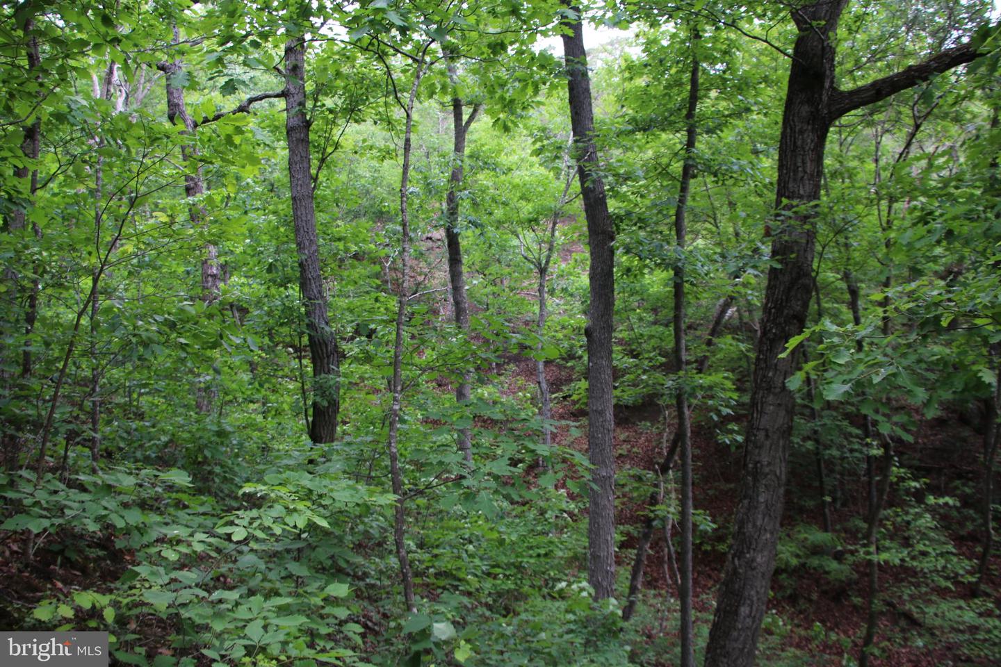 Lighthouse Ln Property Photo 19