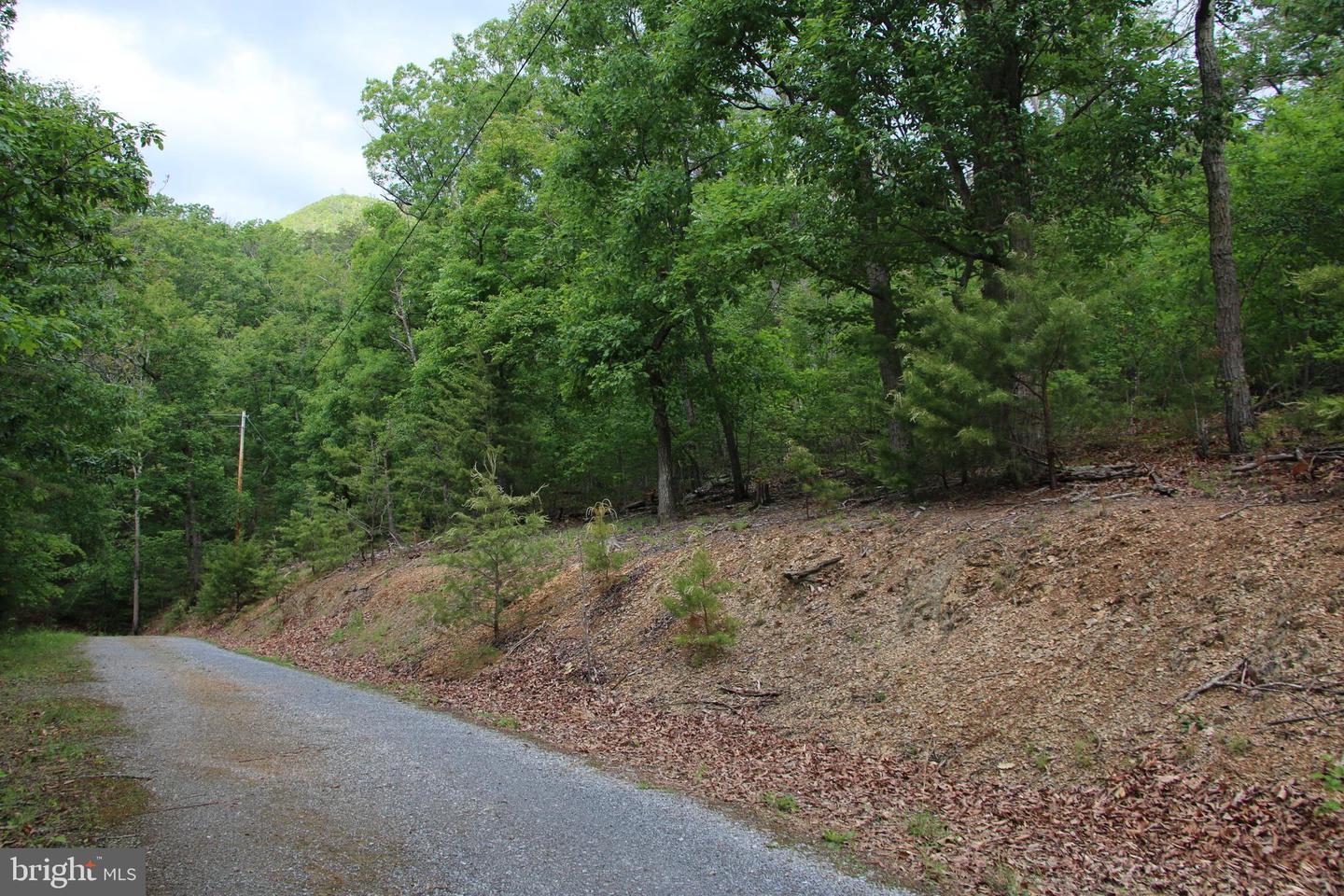 Lighthouse Ln Property Photo 20