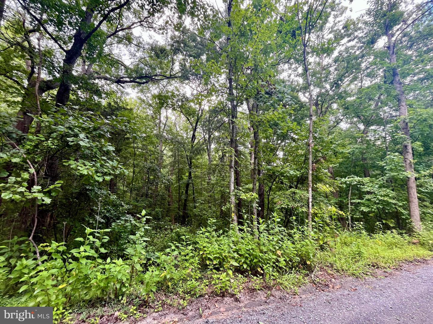 Forest Drive Property Photo 1