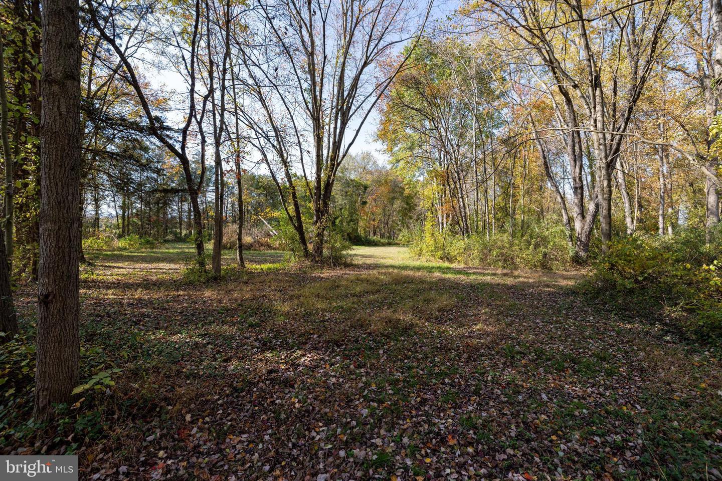 Off Dry Run Rd Property Photo 49