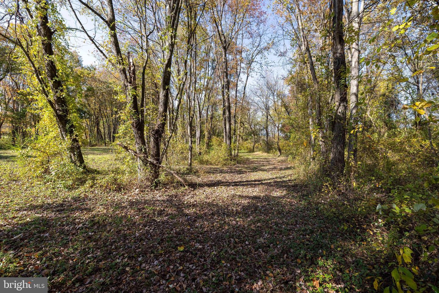 Off Dry Run Rd Property Photo 53