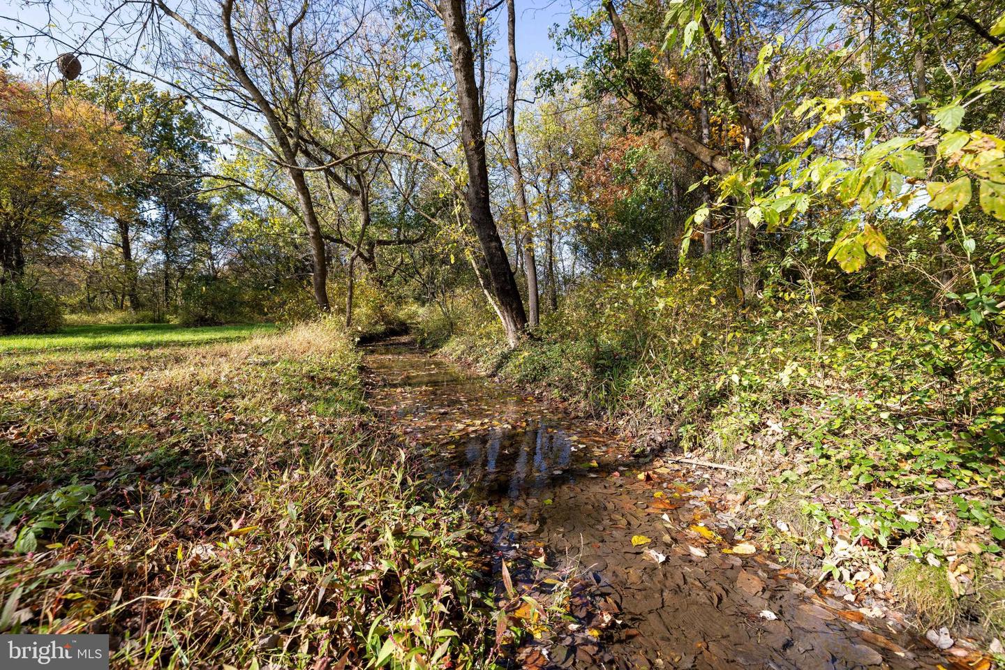 Off Dry Run Rd Property Photo 55