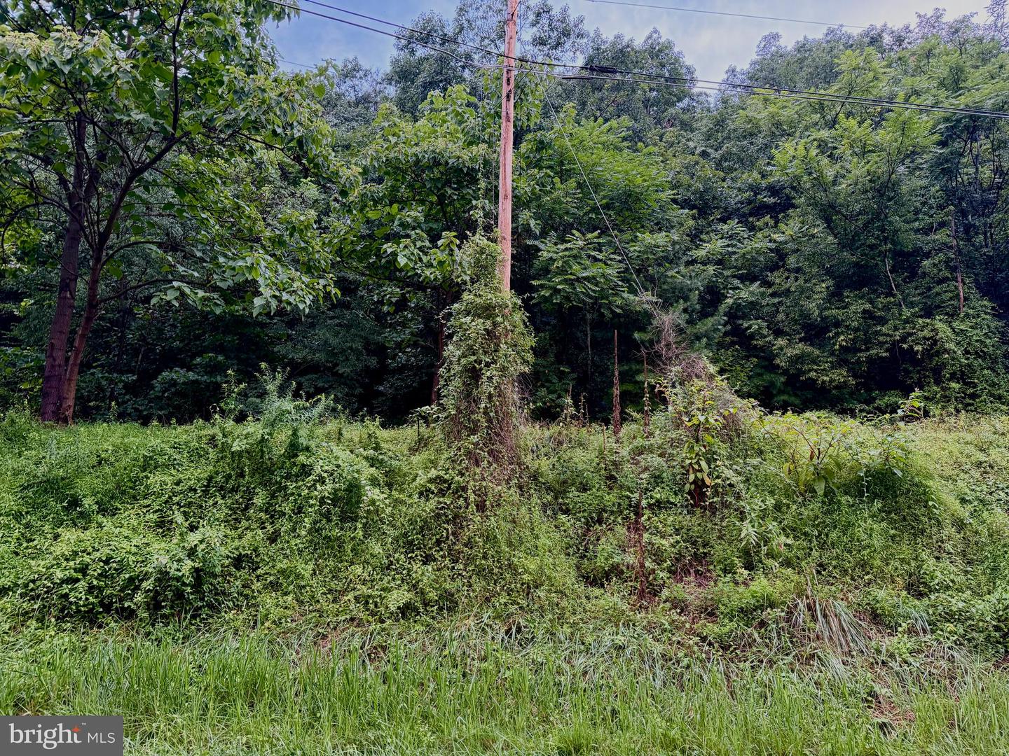 Lot 11b Lucas Hollow Rd Property Photo 1