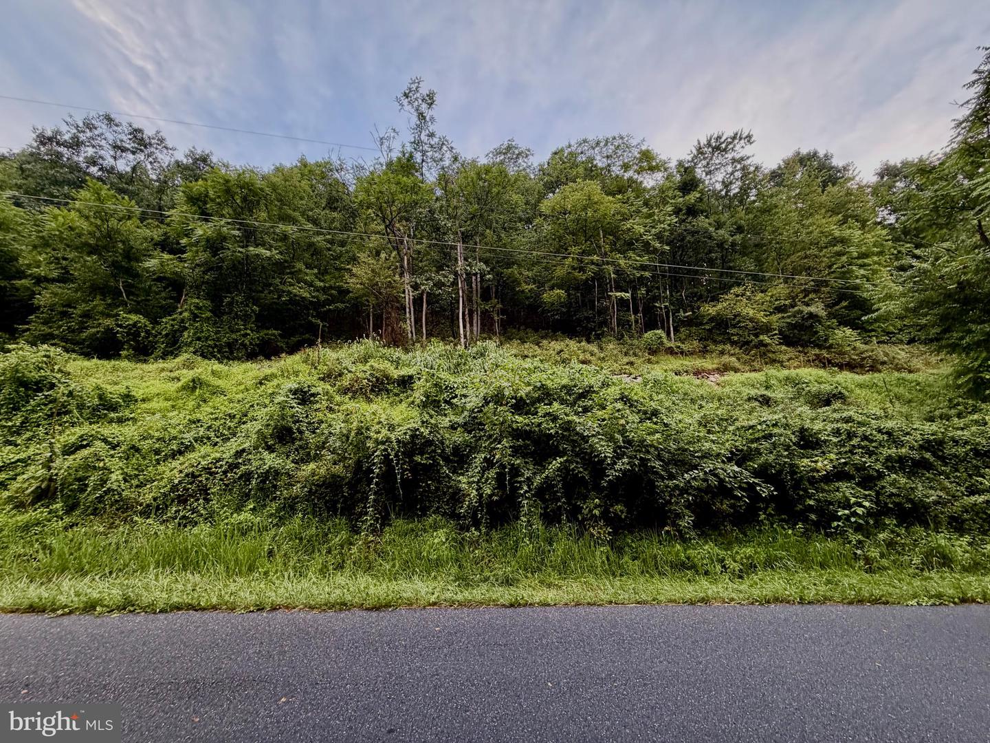 Lot 11b Lucas Hollow Rd Property Photo 3